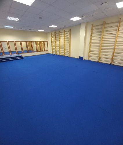 Большой гимнастический зал ВД ЙОШКАР-ОЛА (1)